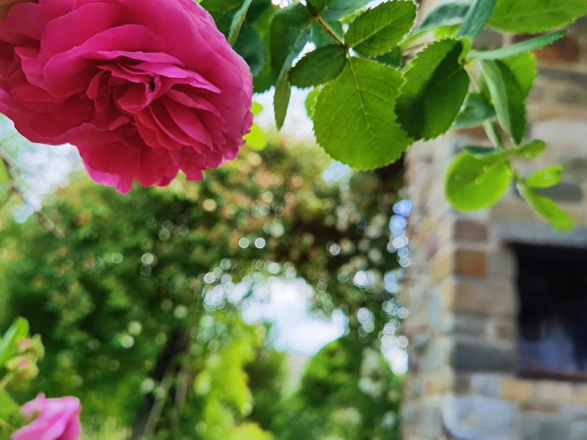 Ferienhaus Eifelrose ซิมเมอร์อาท ภายนอก รูปภาพ