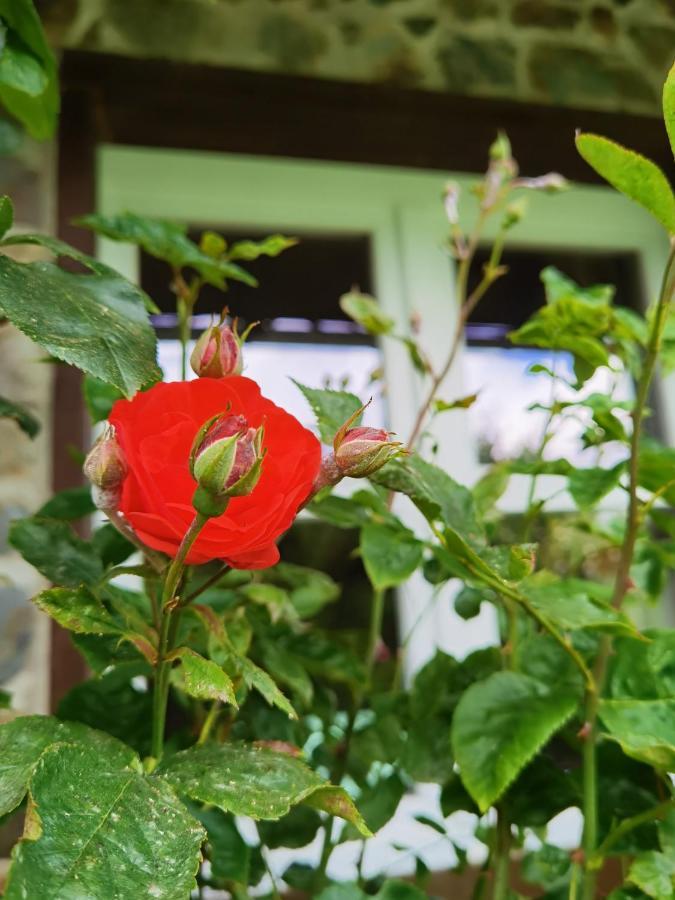 Ferienhaus Eifelrose ซิมเมอร์อาท ภายนอก รูปภาพ