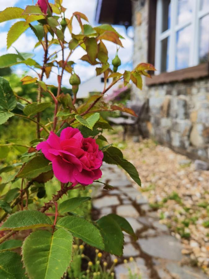Ferienhaus Eifelrose ซิมเมอร์อาท ภายนอก รูปภาพ