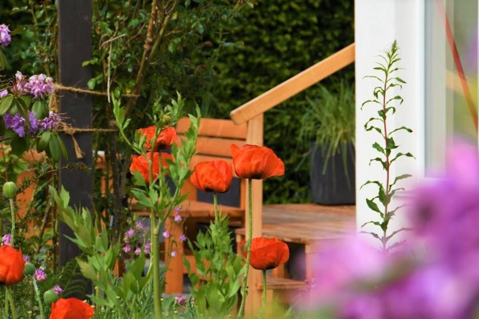 Ferienhaus Eifelrose ซิมเมอร์อาท ภายนอก รูปภาพ