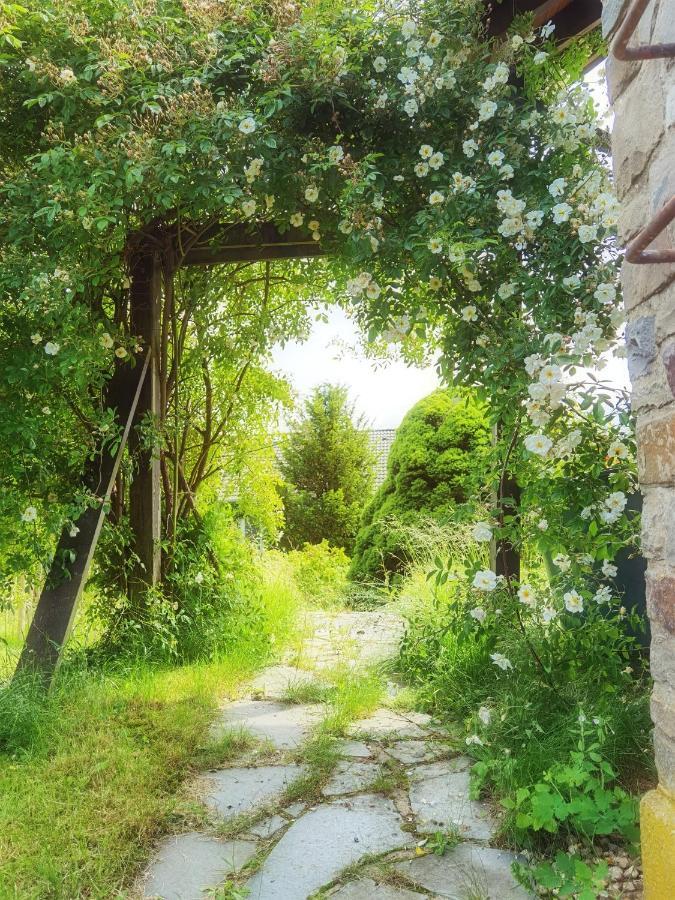 Ferienhaus Eifelrose ซิมเมอร์อาท ภายนอก รูปภาพ