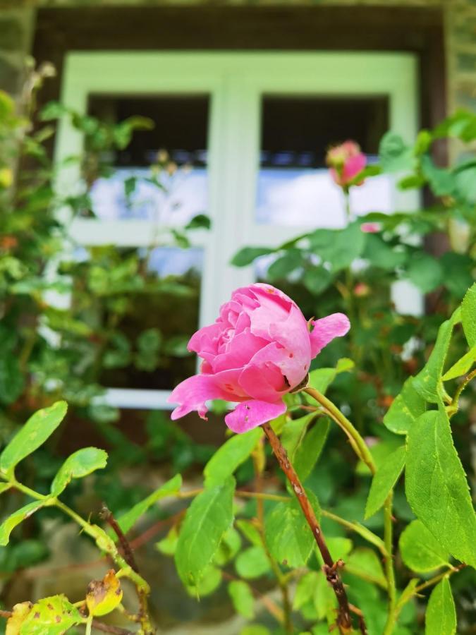 Ferienhaus Eifelrose ซิมเมอร์อาท ภายนอก รูปภาพ